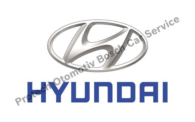 Ankara Hyundai Servisi
