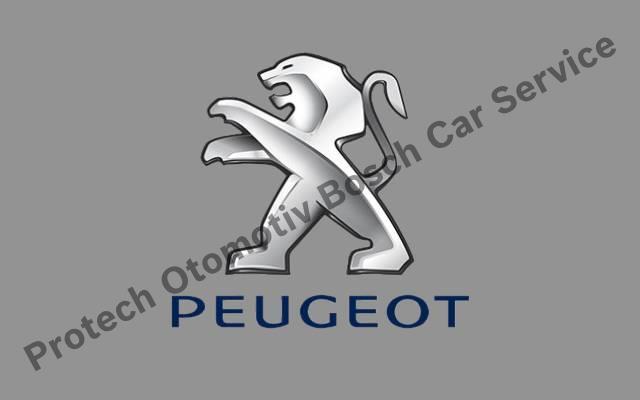 Ankara Peugeot Servisi